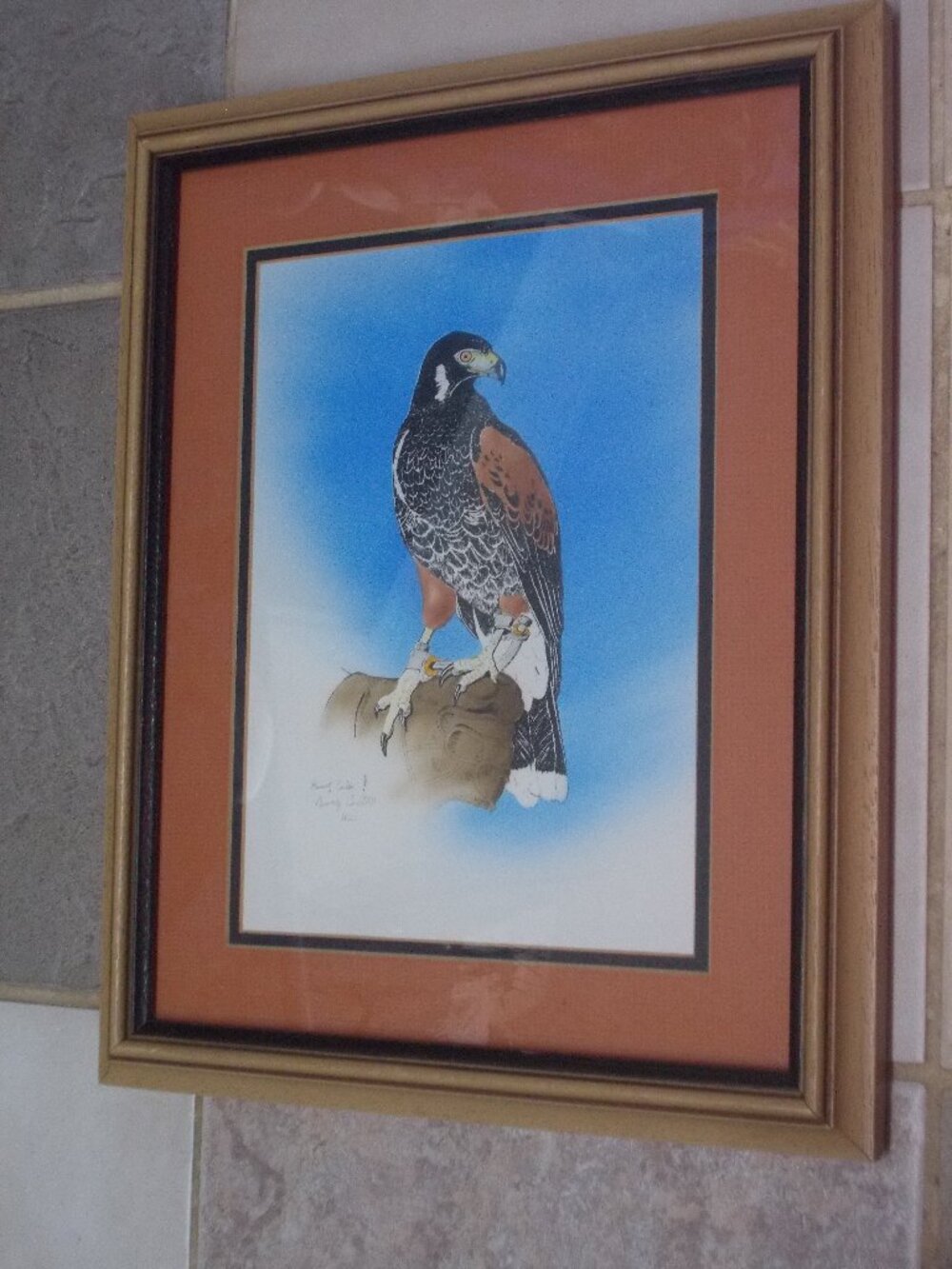 Falcon art print signed and professionally framed, 16"x13"